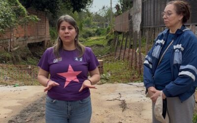 Seguridad ciudadana: las tres líneas de trabajo de Sylvia Villalba para la Junta